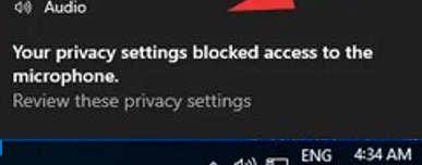 Windows Server privacy settings blocked access to the microphone