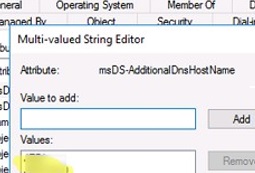 edit msDS-AdditionalDnsHostName attribute