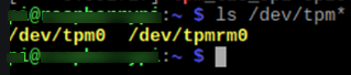 /dev/tpm0 device in linux, check for TPM 2.0