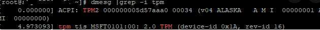 dmesg get tpm devices