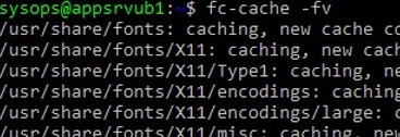 fc-cache: update fonts on linux