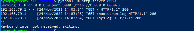 python http server log 