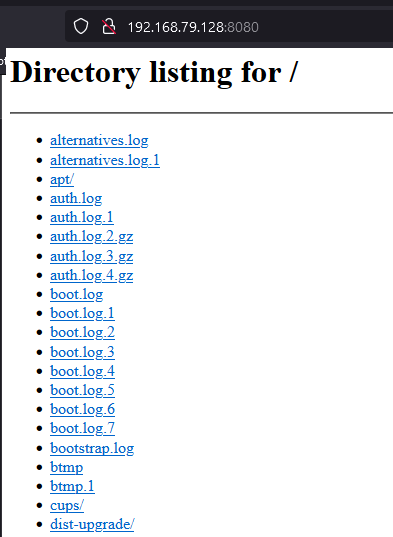 share linux files via python http