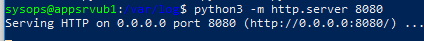 start python3 m http.server