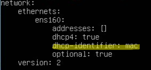 Cloned Linux VM gets the same DHCP IP address