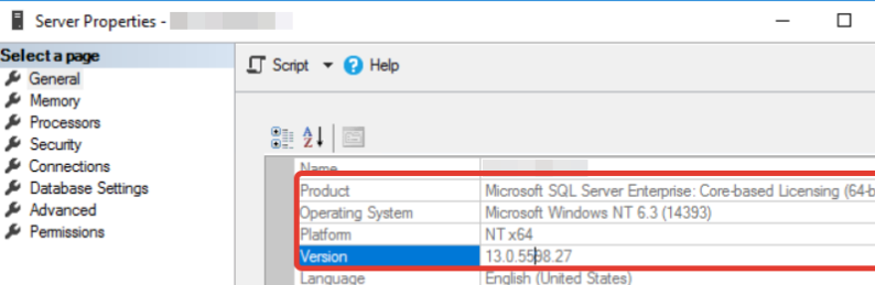 VIew SQL Server version in instance properties