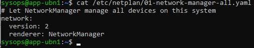 Netplan configuration file on Ubuntu