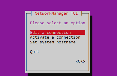 Network Manager TUI (nmtui) configuration tool