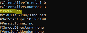 ssh disable dns reverse lookup