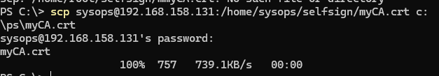 scp - cope toot CA file to Windows 